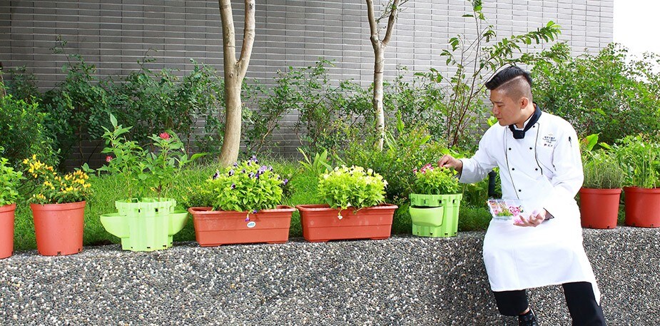 福容林口A8鄧正中主廚的食用花搭配擺盤祕訣